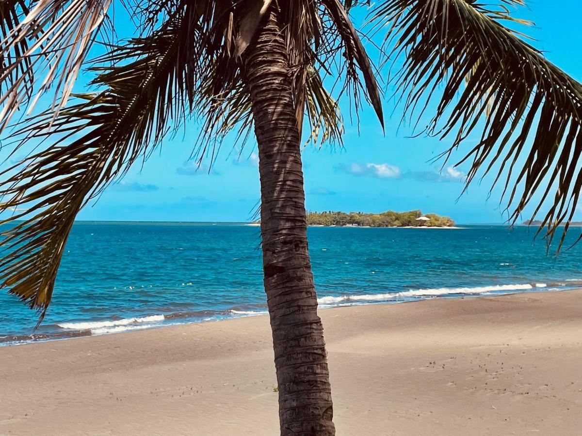 Sunbloom Beachfront Hotel And Restaurant Zambales Sinabacan エクステリア 写真